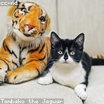 Delaney Kessler Profile Picture