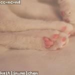 Sonia Kunde Profile Picture