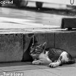 Winston Medhurst Profile Picture