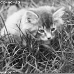 Martine Leuschke Profile Picture