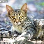 Bailey Nitzsche Profile Picture